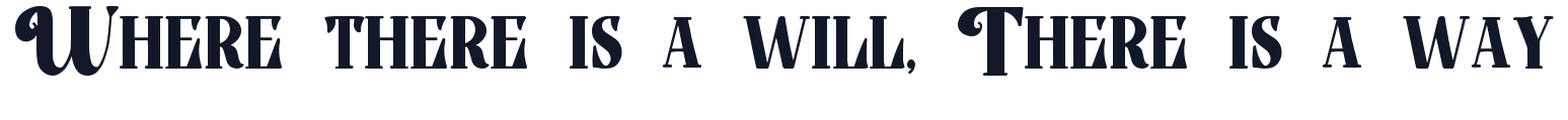 bidzina-trial-font 字形样张