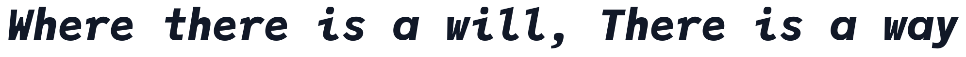 JuliaMono-BlackItalic 字形样张