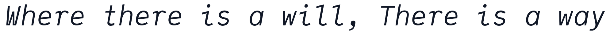 JuliaMono-LightItalic 字形样张