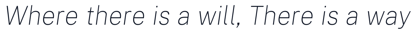 PublicSans-ThinItalic 字形样张