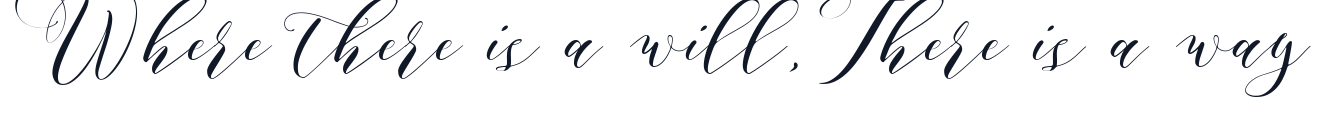 aidan-script-font 字形样张